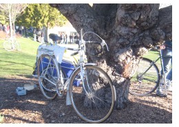 Impromptu bike parking at the Seattle Bike Swap