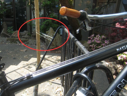 Waxed Floss Rack Security