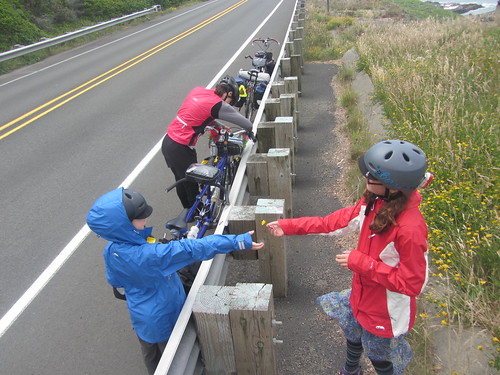 7706188240_7215f98a3b