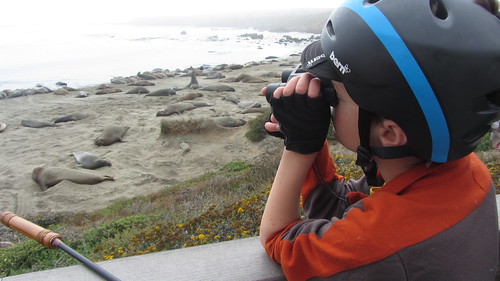 9139434077_428047acd4