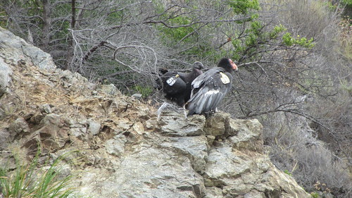 9139547805_5d38266126