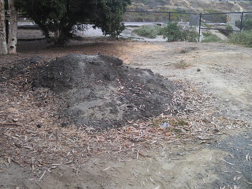 9473672930_36002109d6