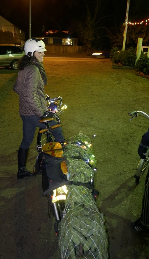 I got the tree_DSC8709 (Large)